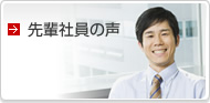 先輩社員の声